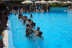 dsc00785_800x600