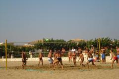 dsc00803_800x600