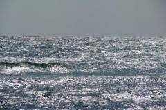 Image016-2