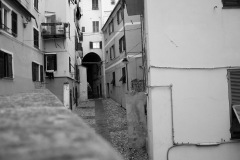 mg_5451