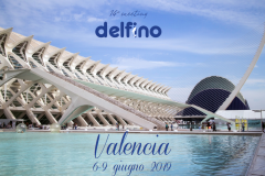 meeting-delfino-2019-valencia-1