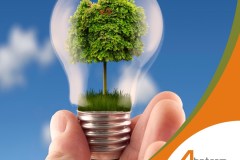 SOLUZIONIGREEN_n1